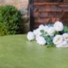 Plain tablecloth collection