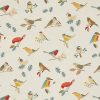 Feathered Friends Gloss Oilcloth Tablecloth